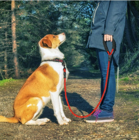 Walking