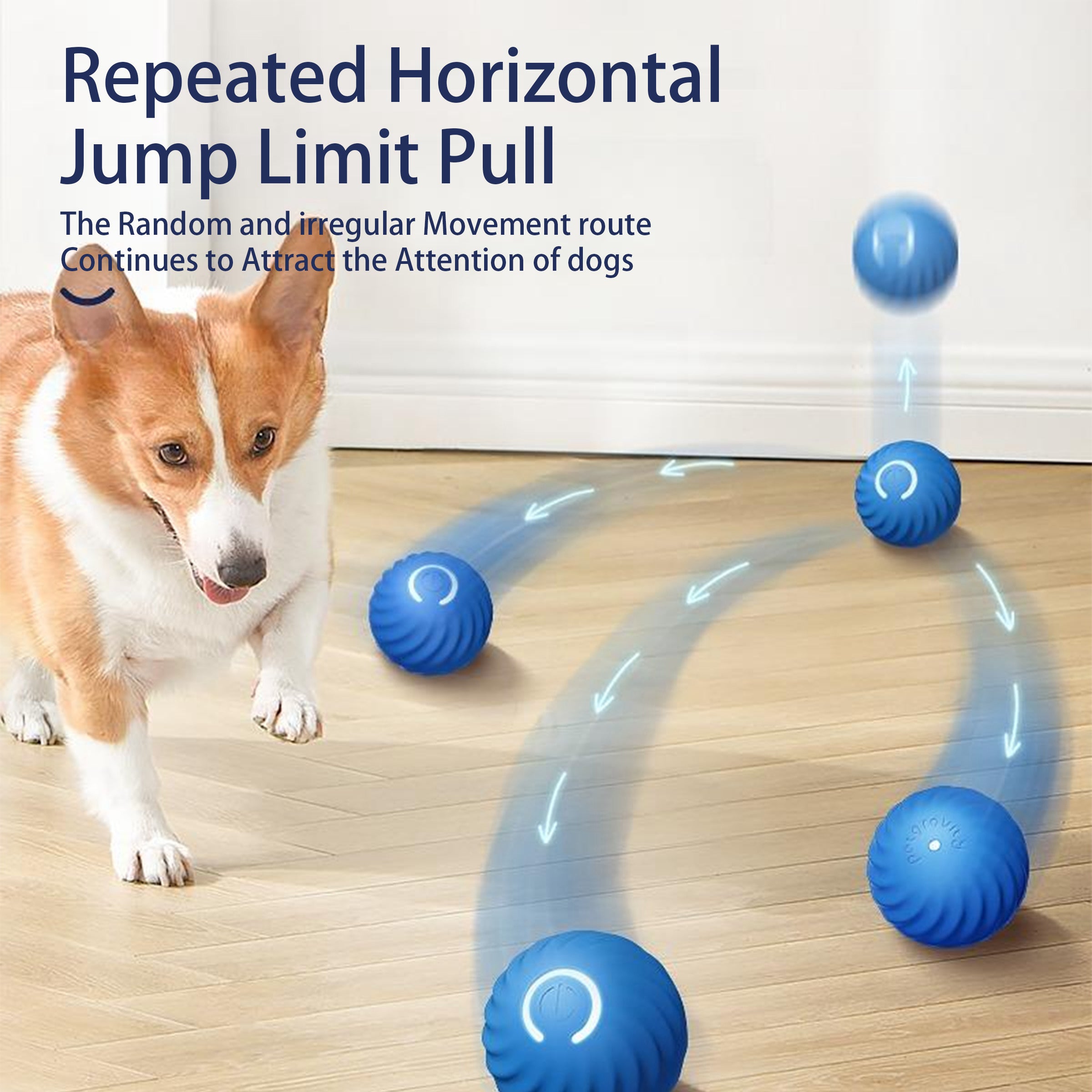 Interactive Bouncing Ball For Dogs