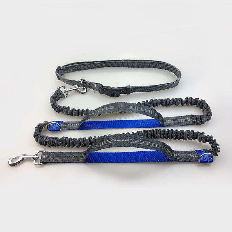 Multi-function reflective dog leash