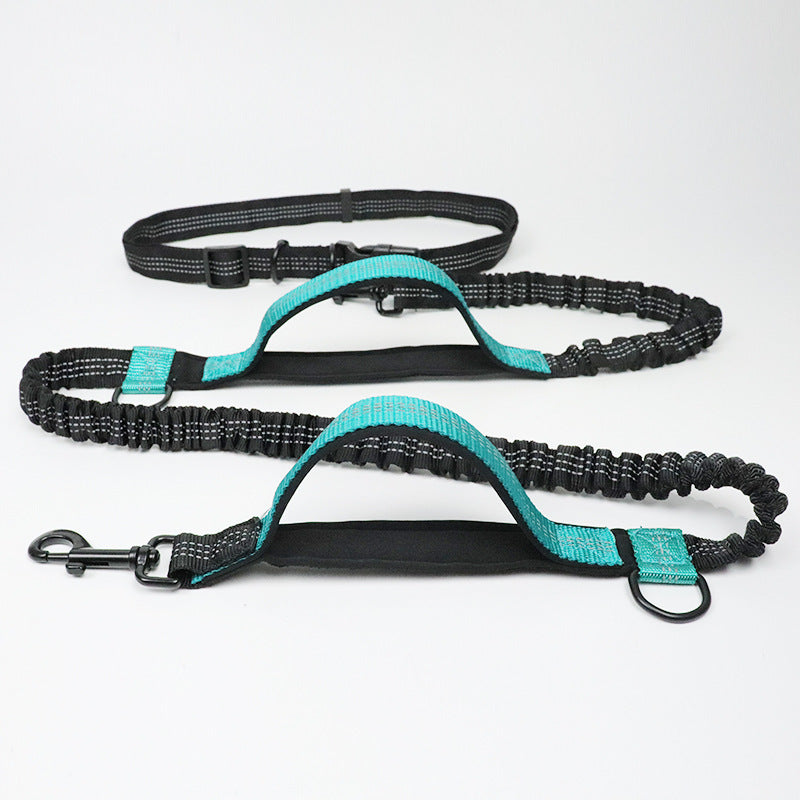 Multi-function reflective dog leash