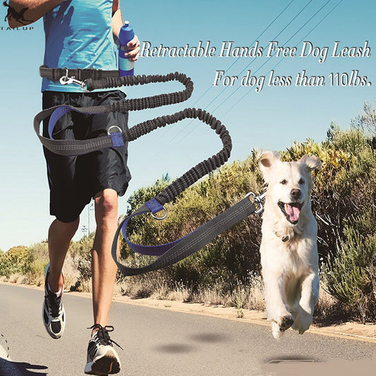 Multi-function reflective dog leash