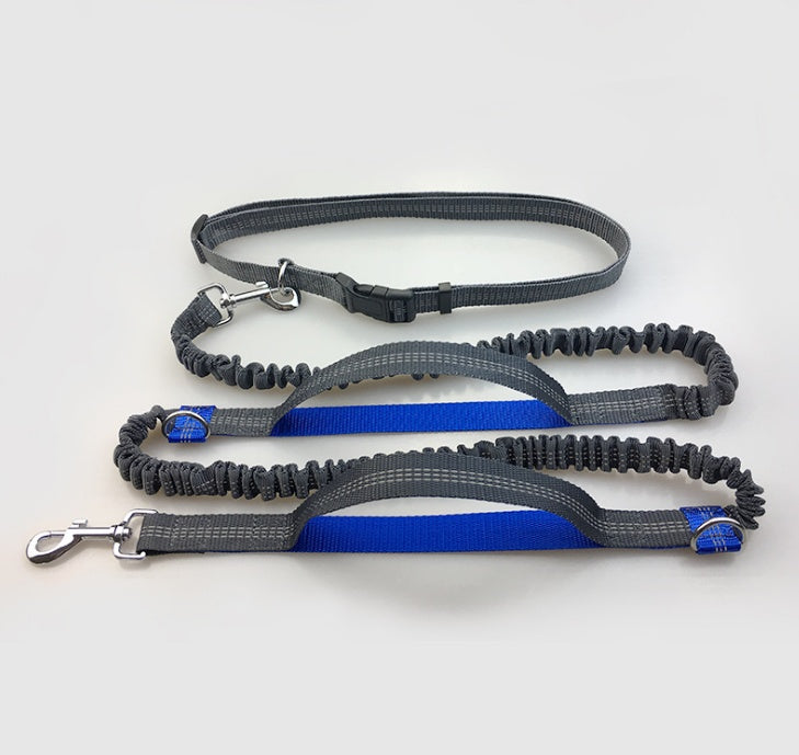 Multi-function reflective dog leash
