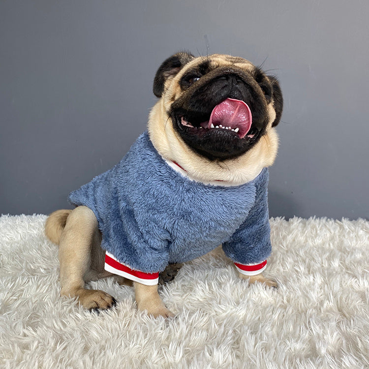 Dog sweater