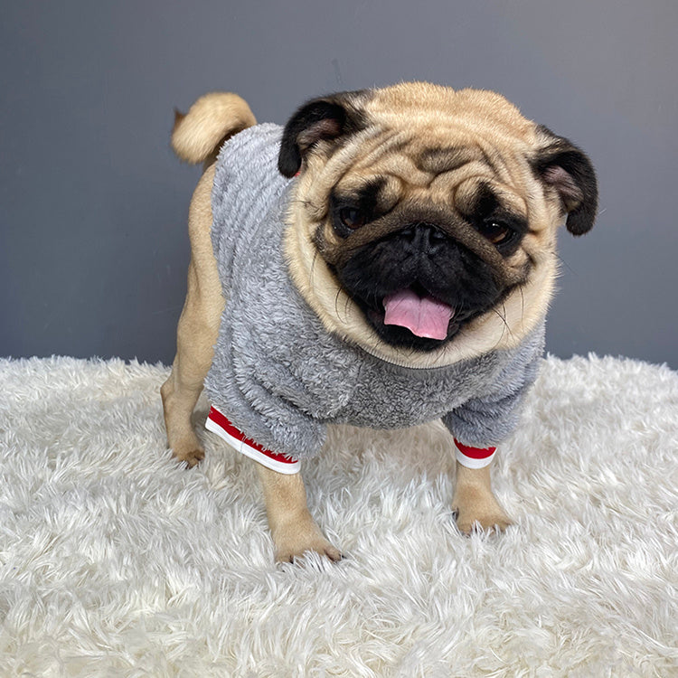 Dog sweater