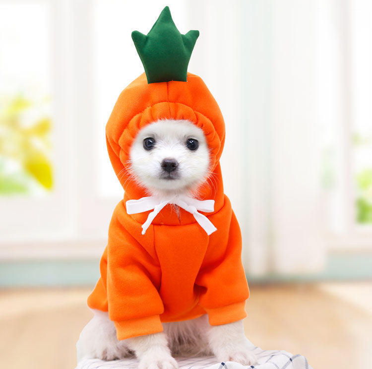 Dog Clothes For Small Dogs