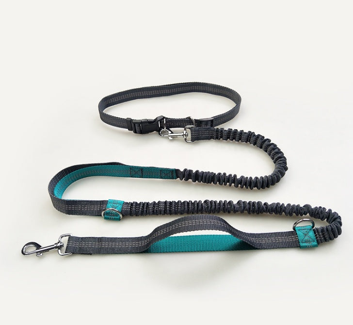 Multi-function reflective dog leash