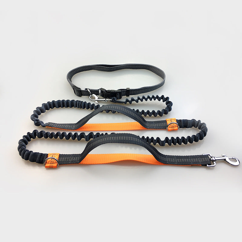Multi-function reflective dog leash