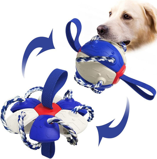 Interactive Soccer Ball With Tabs