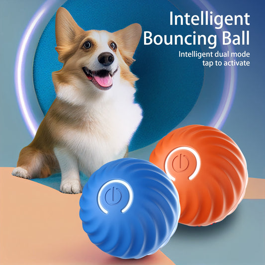 Interactive Bouncing Ball For Dogs