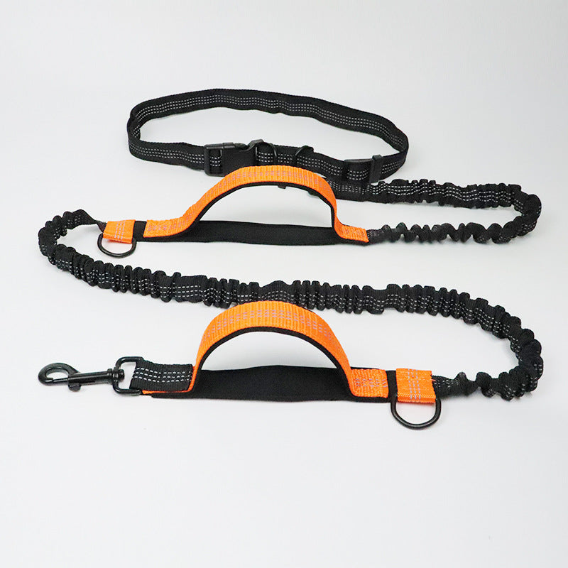Multi-function reflective dog leash