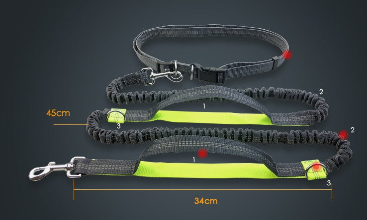 Multi-function reflective dog leash