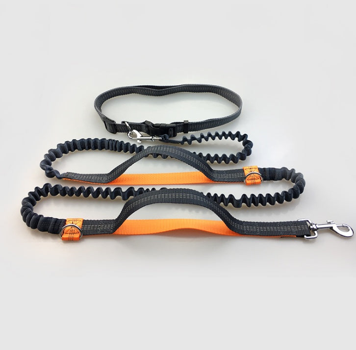 Multi-function reflective dog leash