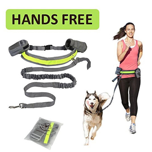Adjustable Dog Leash (Hands Free)