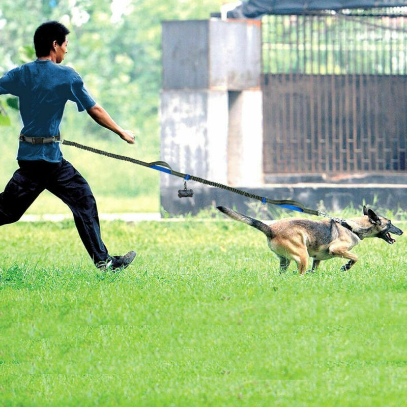 Multi-function reflective dog leash