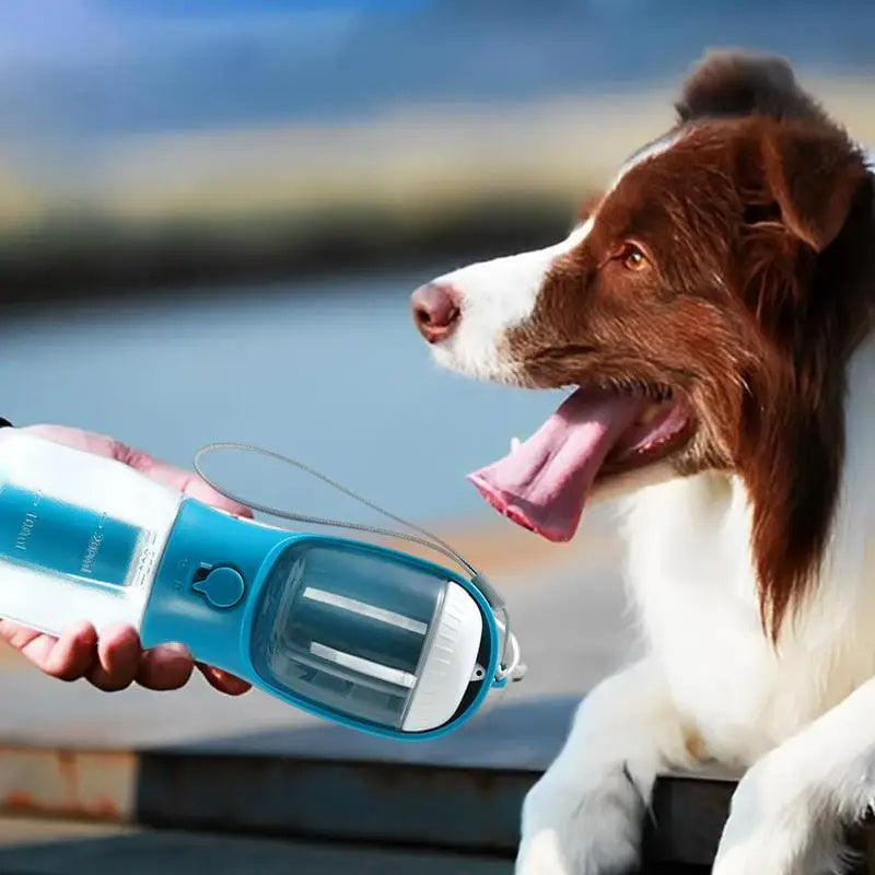 Three-in-one Portable Pet Cup