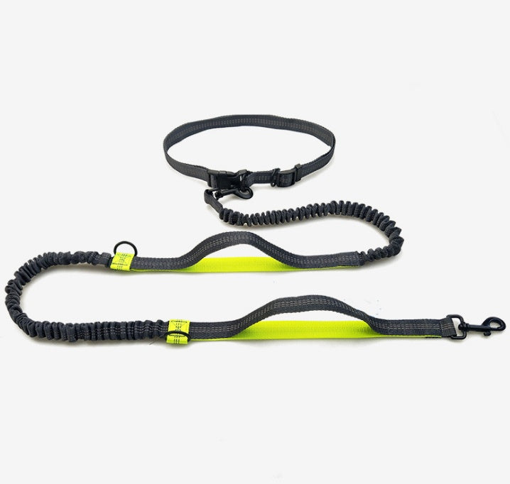 Multi-function reflective dog leash