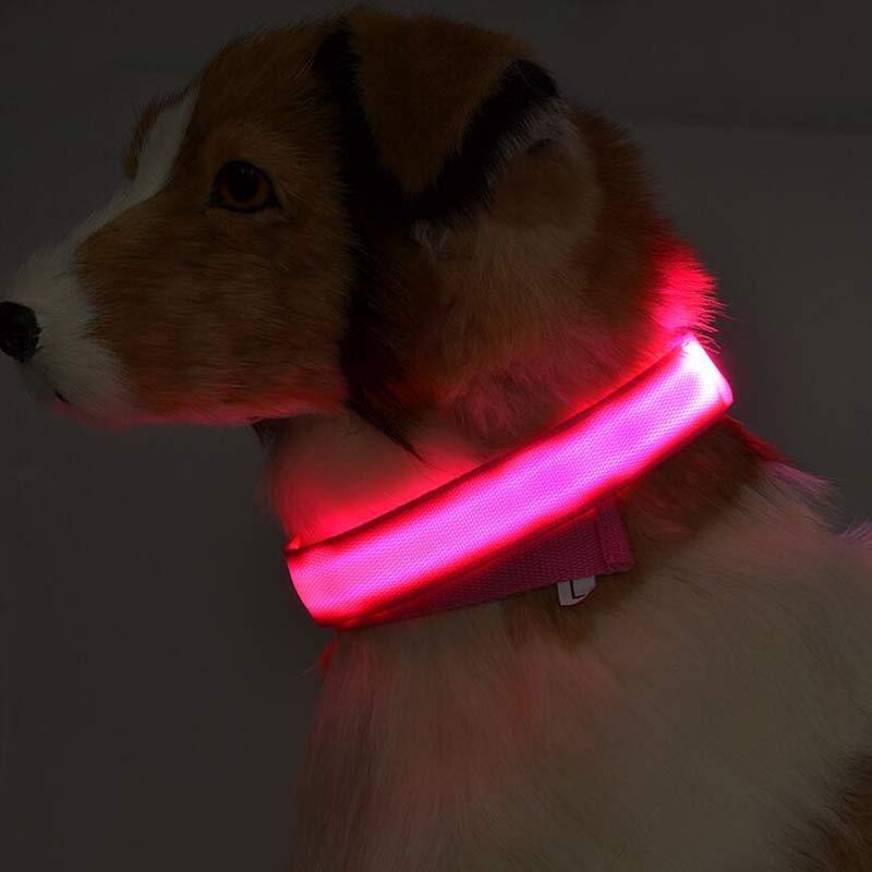 Nylon LED Luminous Collar