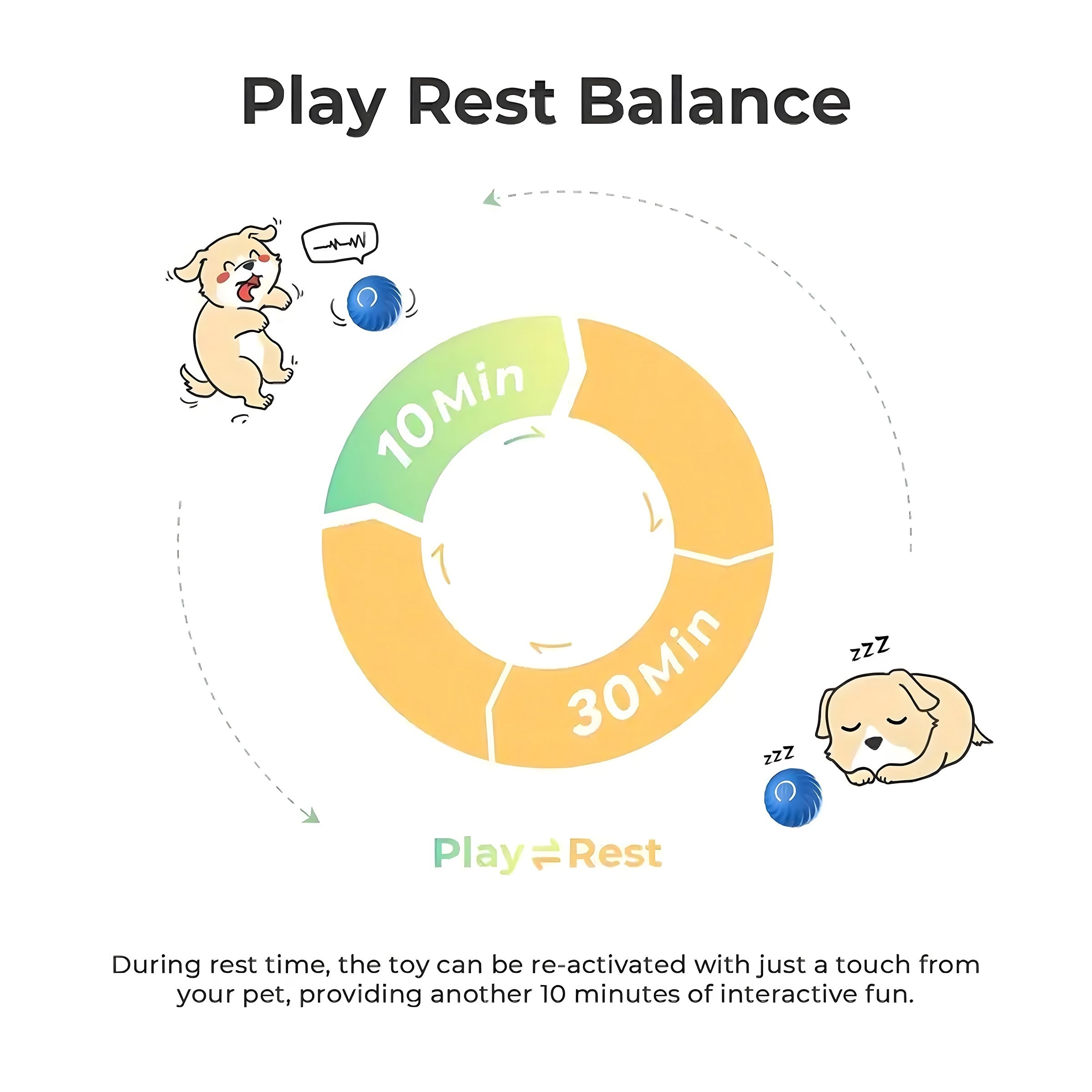 Interactive Bouncing Ball For Dogs