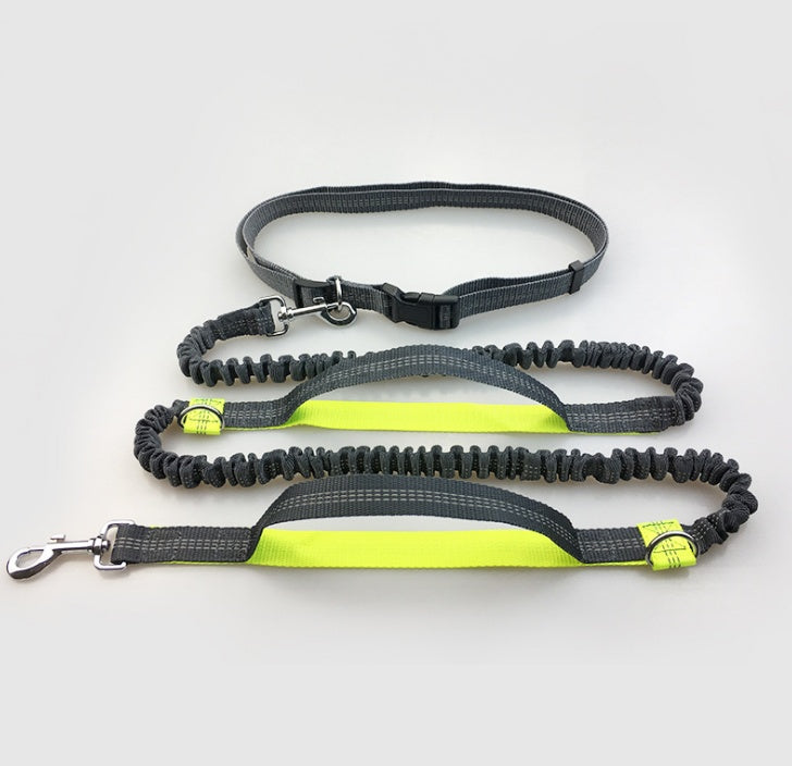 Multi-function reflective dog leash