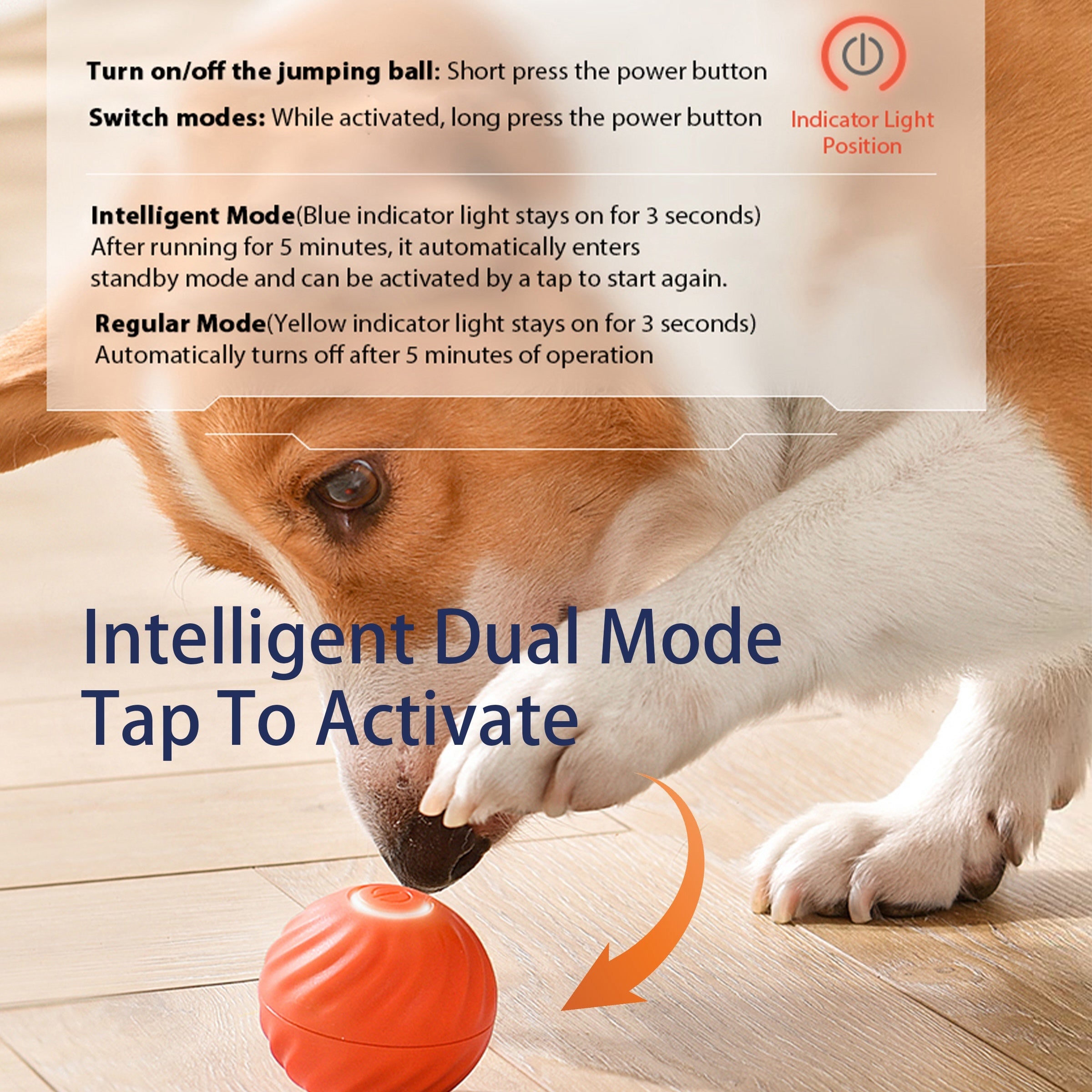 Interactive Bouncing Ball For Dogs