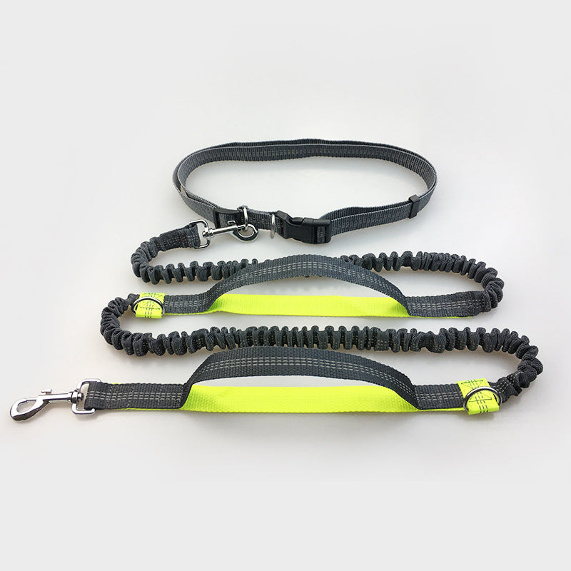 Multi-function reflective dog leash