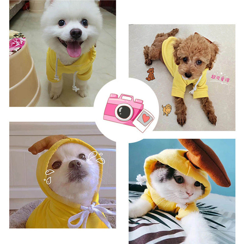 Dog Clothes For Small Dogs