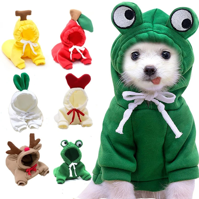 Dog Clothes For Small Dogs