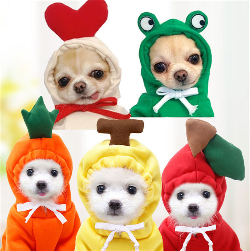 Dog Clothes For Small Dogs