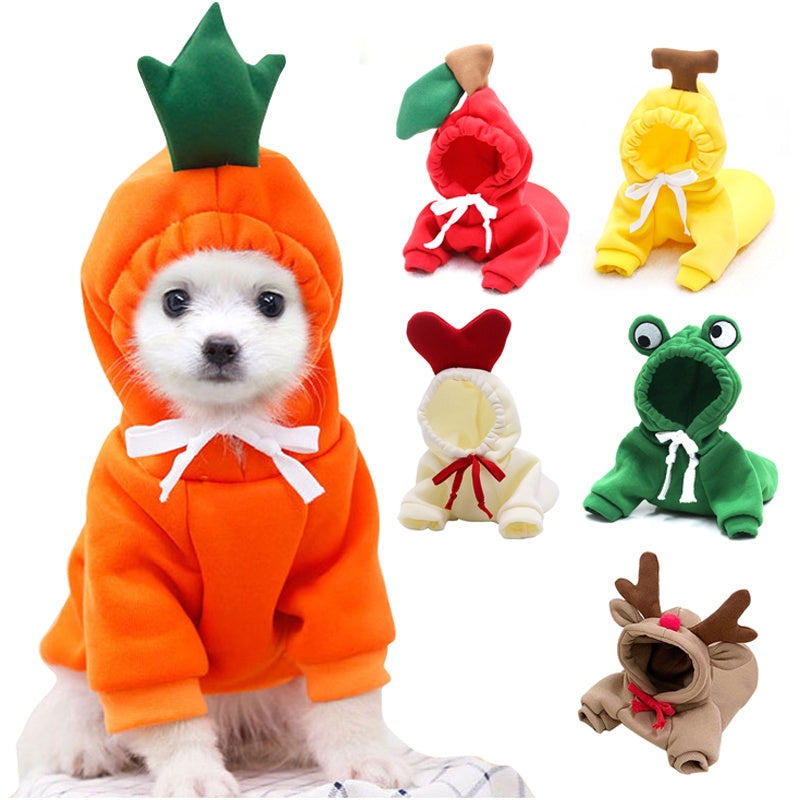 Dog Clothes For Small Dogs