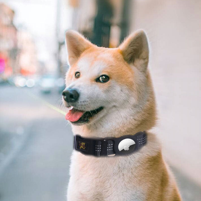 Collar for airtag