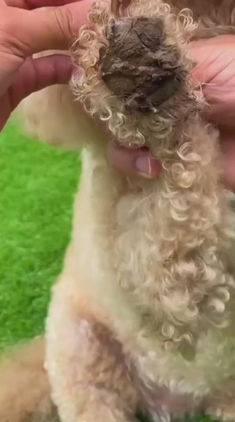 Pet Electric Foot Washer Premium